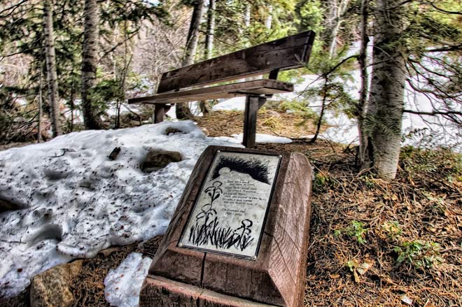 bridge-bench